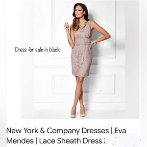 New York and Company Eva Mendes Lace Cocktail Sheath Dress